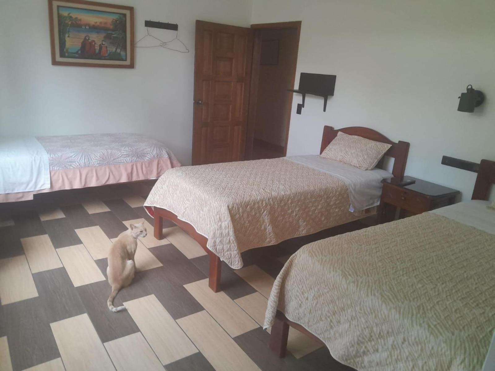 تينا Hostal Limoncocha المظهر الخارجي الصورة