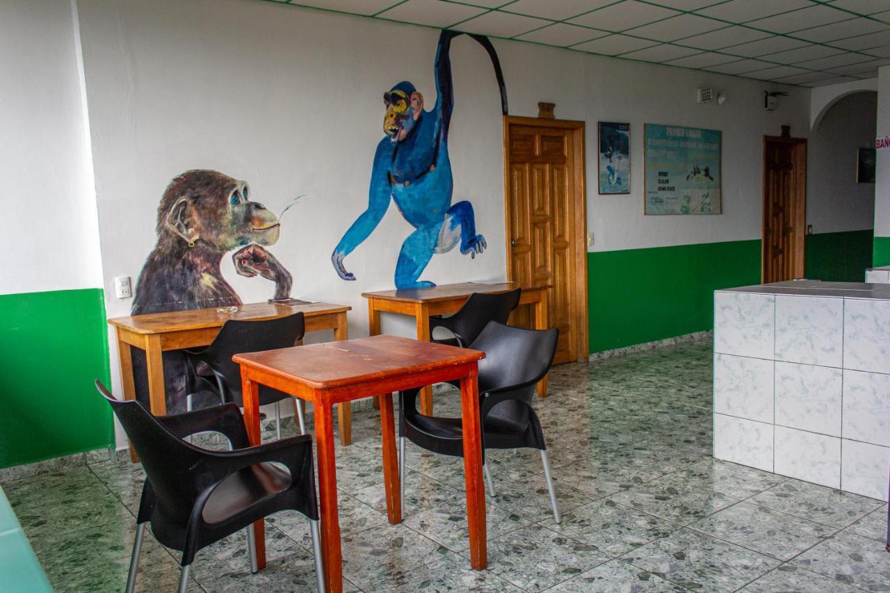 تينا Hostal Limoncocha المظهر الخارجي الصورة